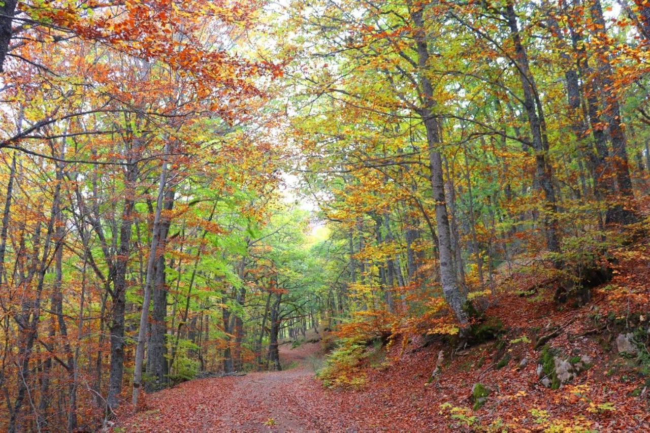 El Rincon De Golobar En Branosera 외부 사진
